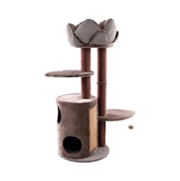 TK Pet Gimnasio Mand Lotus